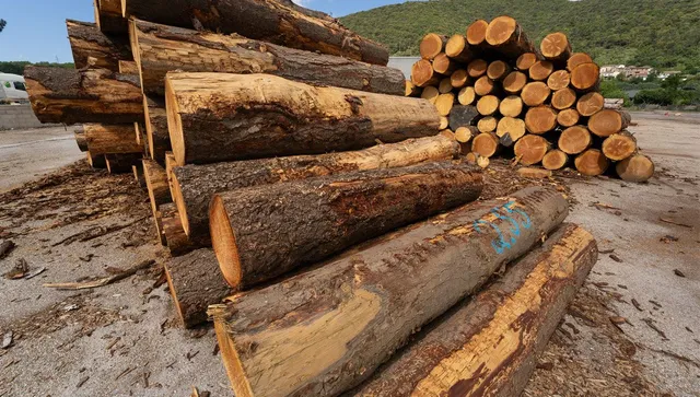 Bois de chauffage et grumes